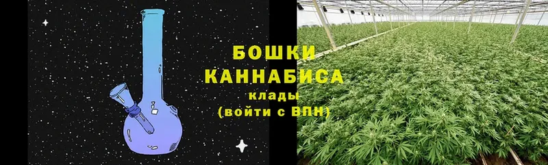 как найти наркотики  Шадринск  Бошки марихуана план 